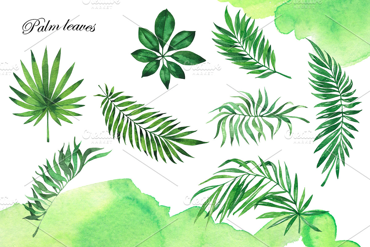 Watercolor jungle set, an Illustration by Watercolor & sketches (Photo 4 of 13)