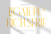 VERNICE LEMANS, a Serif Font by NYDESIGN (Thumbnail 2 of 10)