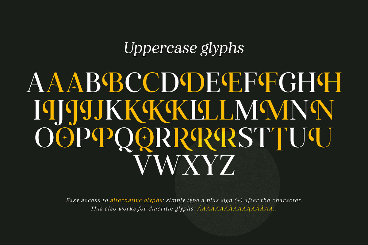 Retro Voice – Variable Serif Font, a Serif Font by Blessed Print (Photo 24 of 29)