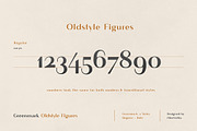 The Versatile Font Bundle, a Sans Serif Font by AlienValley (Thumbnail 132 of 141)