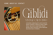 Nabira Modern Elegant Serif, a Serif Font by Alfinart (Thumbnail 10 of 10)