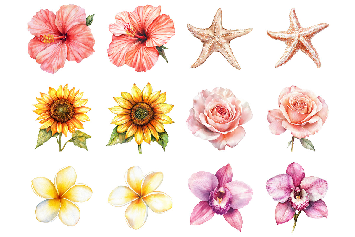 Floral Beach Clipart, an Illustration by Design Market (Photo 2 of 3)