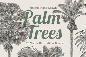 Palm Tree Vector Illustration Bundle, an Illustration by Kusumaillustration