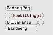 Synthz Mono, a Sans Serif Font by Portion.Labs (Thumbnail 3 of 10)