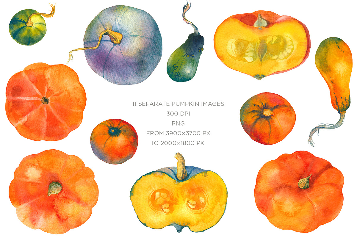 Fruit & Vegetable Watercolor Bundle, a Decorative Illustration by Olga Begak Art & Design (Photo 4 of 13)