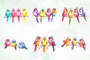 Funny Colorful Birds Watercolor Png, an Illustration by Creative Art (Thumbnail 3 of 6)