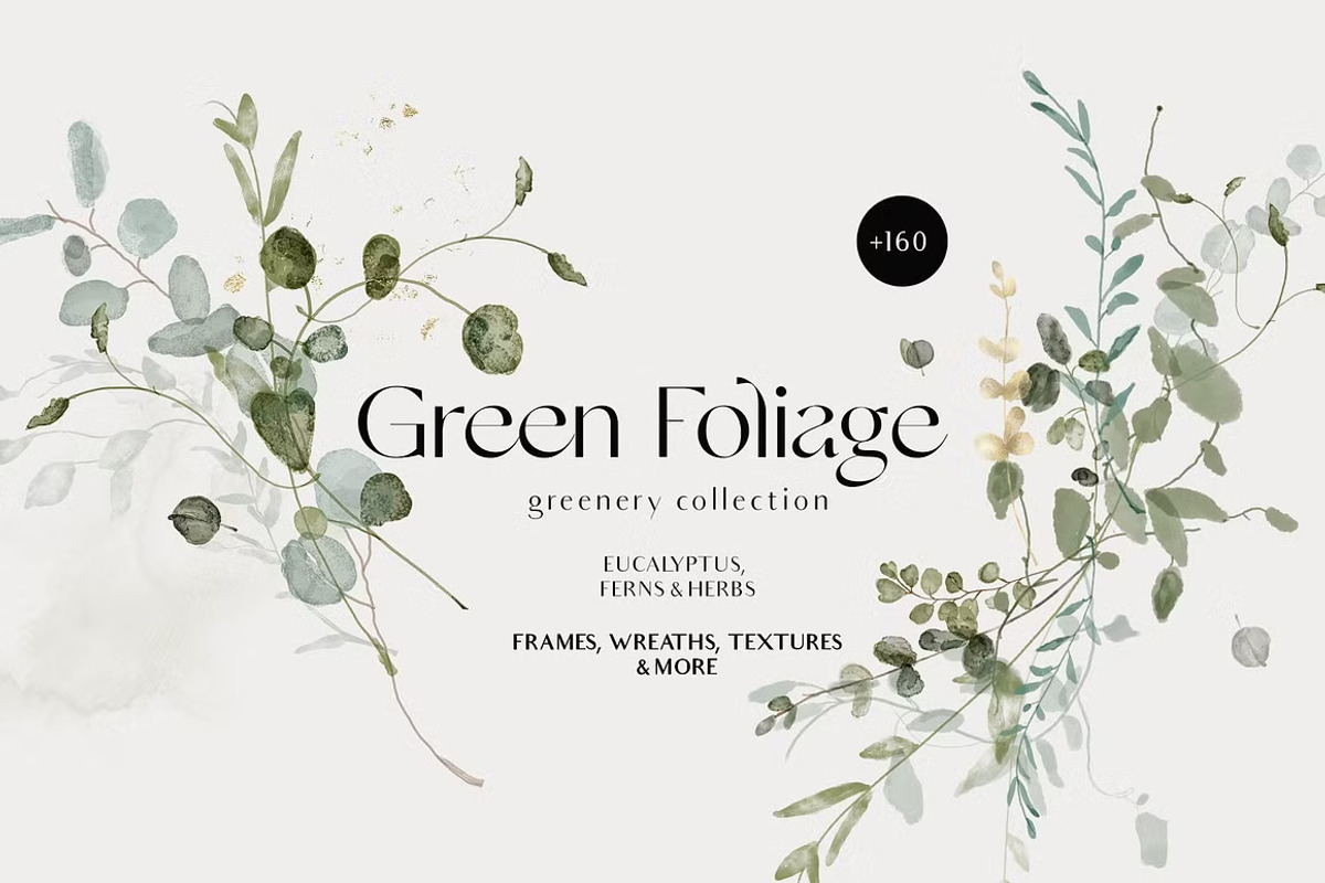Watercolor Florals Graphics bundle, a Decorative Illustration by Grace Noboa Illustrations (Photo 19 of 20)