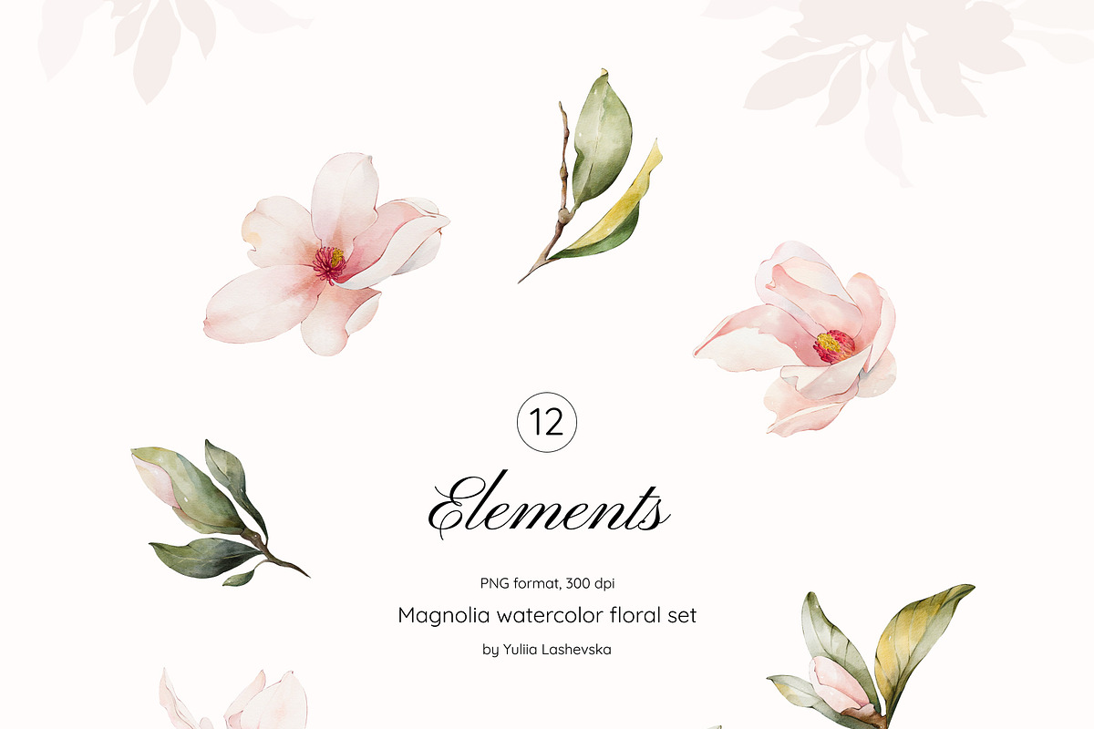 Magnolia watercolor floral set, a Decorative Illustration by Yuliia Lashevska (Photo 12 of 13)