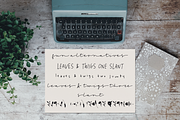 Leaves and Twigs font trio & extras, a Script Font by Ana's Fonts (Thumbnail 17 of 17)
