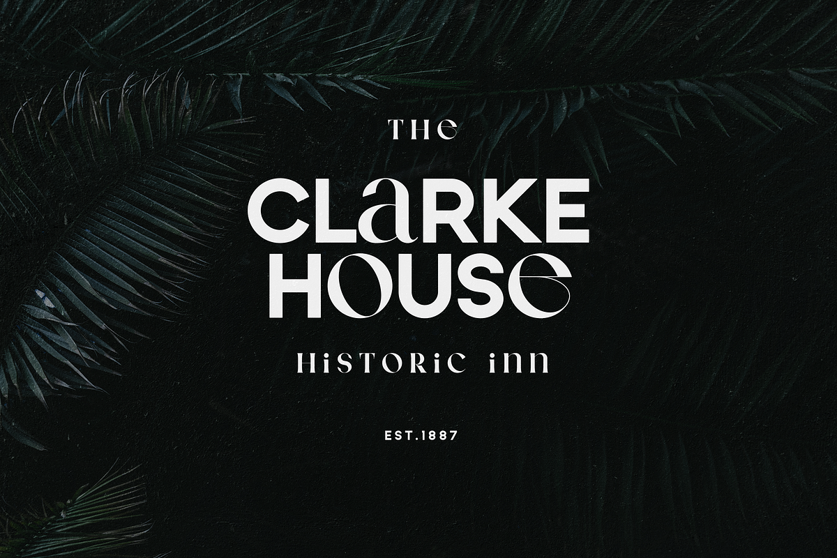 Neat Type - elegant fusion font, a Serif Font by VP Fonts (Photo 12 of 13)