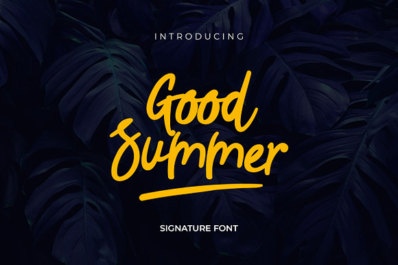 Good Summer Signature Font preview 6