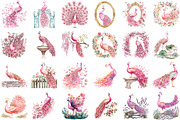 Pink Peacocks Garden Clipart, an Illustration by Sublimation Artist (Thumbnail 2 of 6)