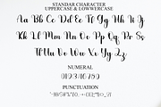 The Balista, a Handwritten Font by FreshTypeINK (Thumbnail 7 of 8)