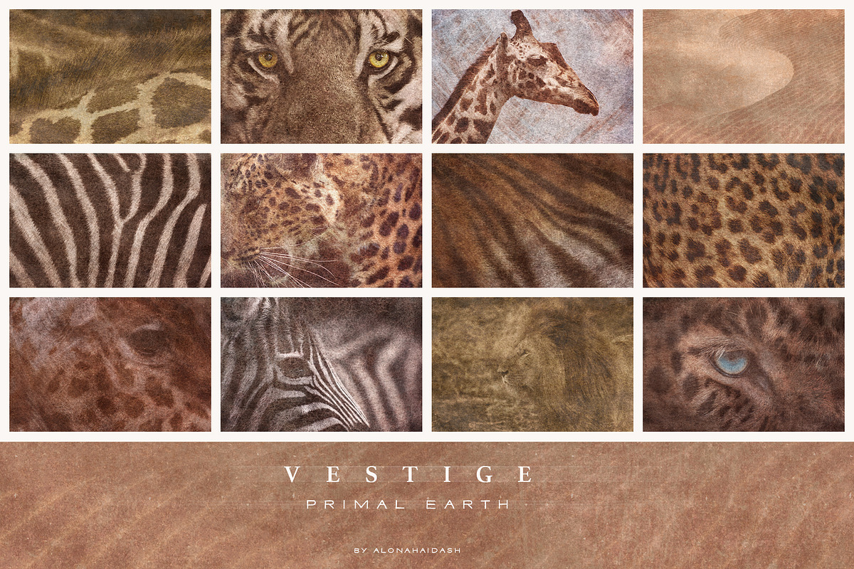 Vestige · Primal Earth Backgrounds, a Background Graphic by alonahaidash (Photo 12 of 16)