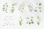 Pink Flowers Watercolor clip art, an Illustration by Fedulova Art (Thumbnail 5 of 12)