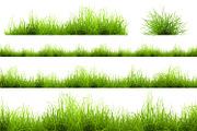 Set of isolated grass, a Texture Graphic by RM_design (Thumbnail 2 of 3)