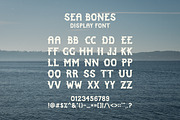 Sea Bones | Coastal Font, a Handwritten Font by TannerThibertStudio (Thumbnail 2 of 3)