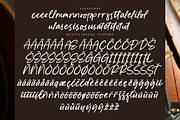 Majestic Skyline, a Script Font by operatype.co (Thumbnail 14 of 15)