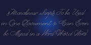 Dreamline, a Script Font by Wiescher-Design (Thumbnail 8 of 9)