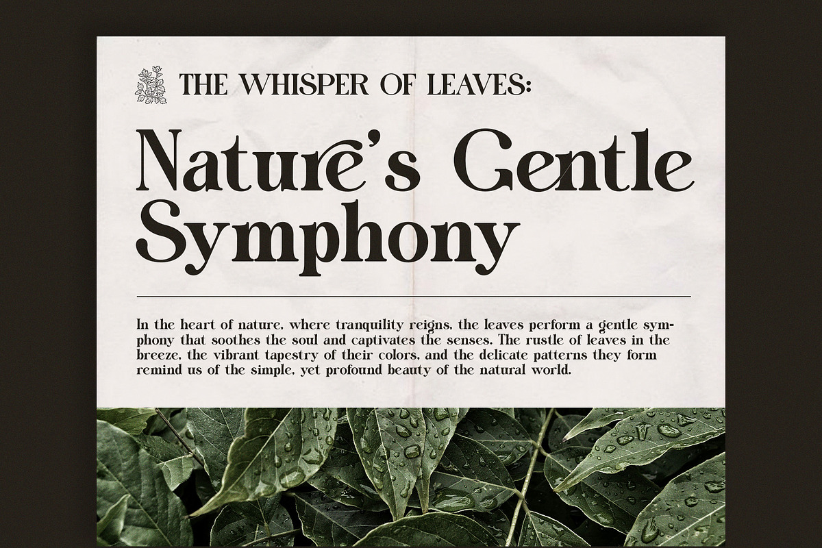 Mistesy Modern Serif Font, a Serif Font by Perfectype (Photo 2 of 8)