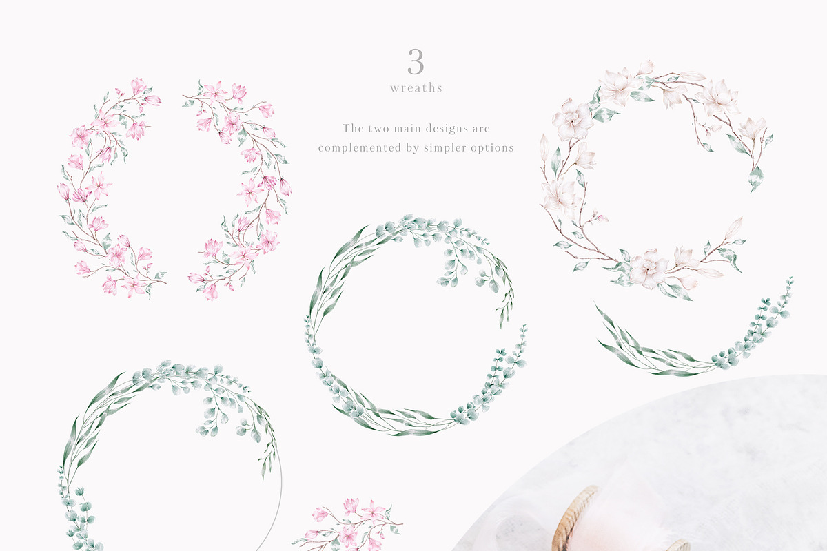 Elegant magnolias and eucalyptus, an Illustration by astelenadesign (Photo 9 of 16)