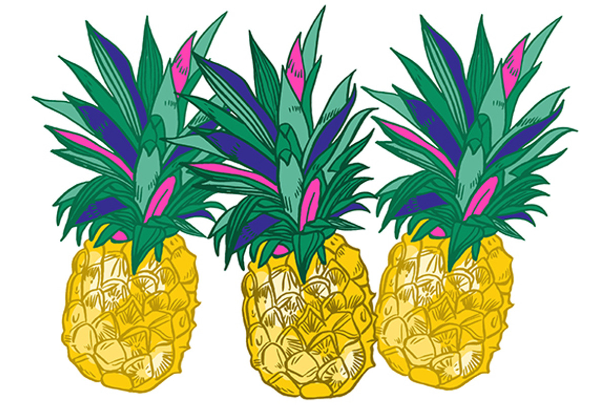 PINEAPPLE SET, a Decorative Illustration by Tanya Akhmett (Photo 8 of 9)