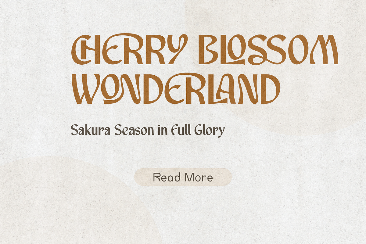 Neroshay – Sans Serif Font, a Sans Serif Font by NDNL Studio (Photo 4 of 9)