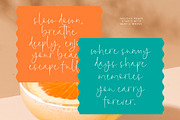 Midnight Diamond, a Script Font by Integritype Studio (Thumbnail 11 of 15)