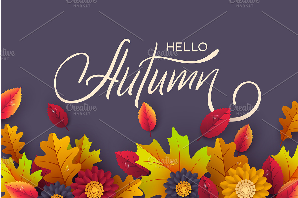 Elegant calligraphy text Hello, an Object Illustration by Liudmyla Matviiets