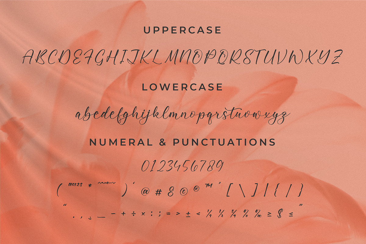 Rayetta Wegatta, a Script Font by Integritype Studio (Photo 9 of 15)