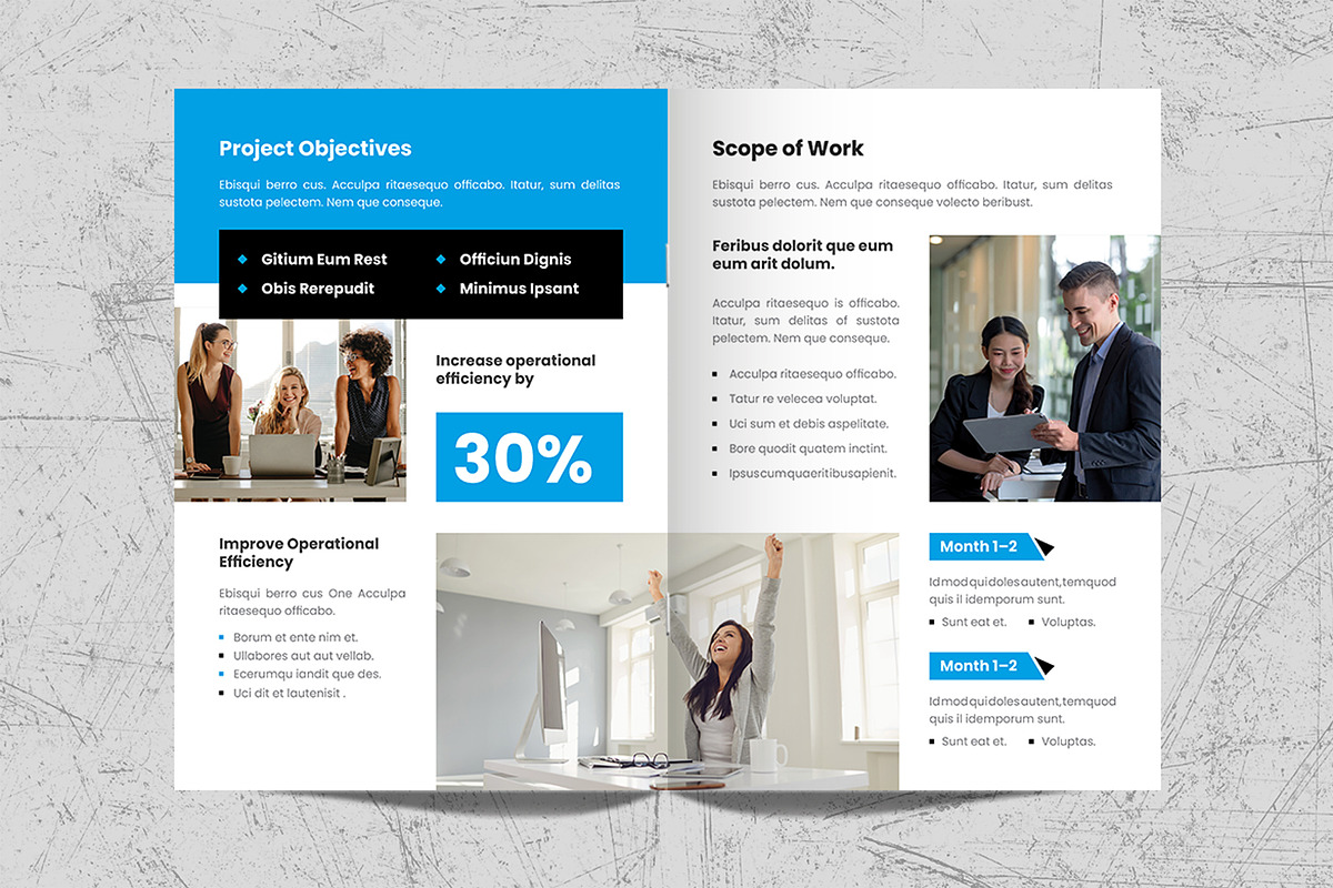 Project Proposal Brochure Template, a Brochure Template by White Graphic (Photo 6 of 11)