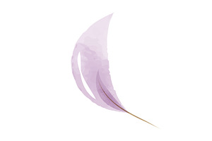 Soft purple watercolor feather, an Illustration by okskukuruza