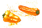 Hand-drawn Watercolor Mini Peppers, a Decorative Illustration by Margo Miller (Thumbnail 5 of 17)