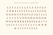 Arienne - Serif Typeface, a Serif Font by Genilson Santos (Thumbnail 12 of 14)