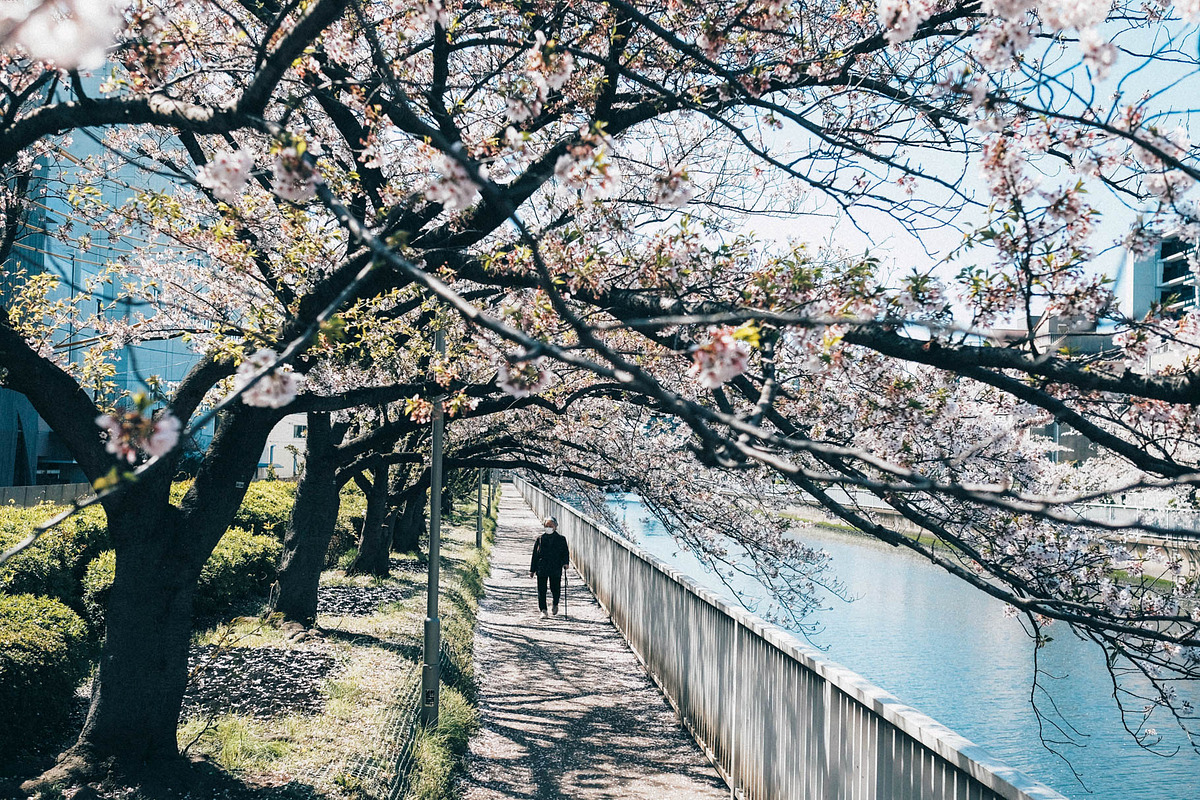 Kodak Ultramax Lightroom Presets, a Preset Add-On by Daily Studio (Photo 9 of 10)