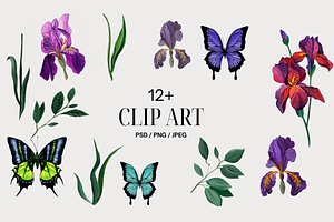 Iris Floral, Luxury Patterns