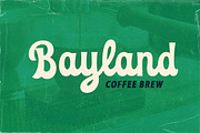 Merlight Bold Script, a Script Font by Letterhend Studio (Thumbnail 6 of 9)