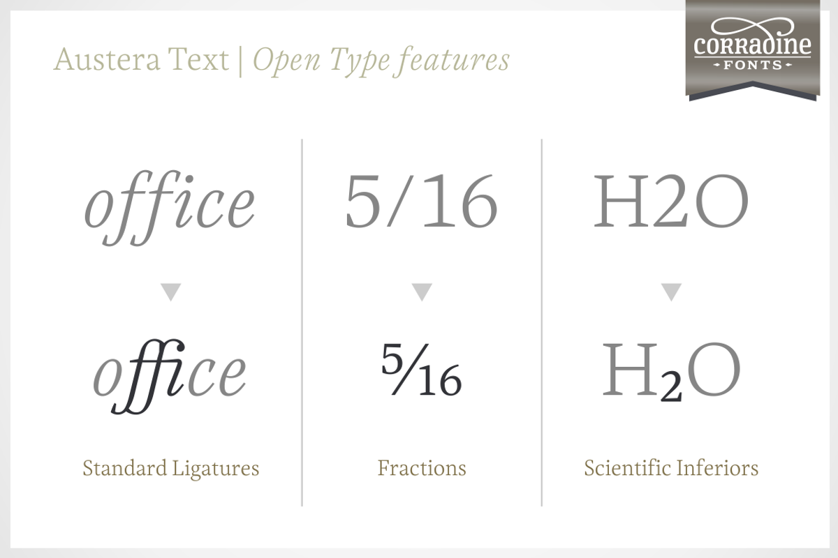 Austera Text Essential #2, a Serif Font by Corradine Fonts (Photo 8 of 14)