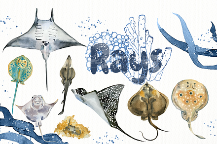 Watercolour Ray Set