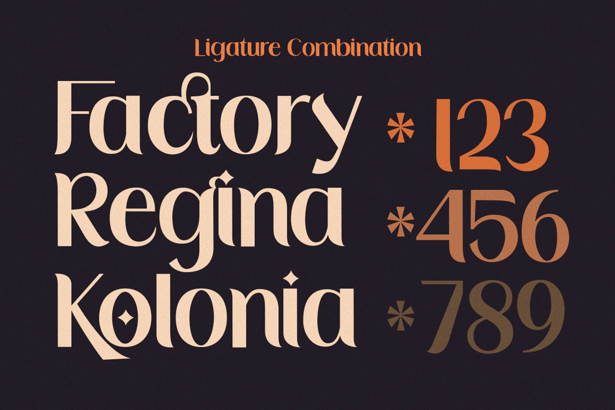 Lemodis Display, a Serif Font by studiobasic (Photo 5 of 9)