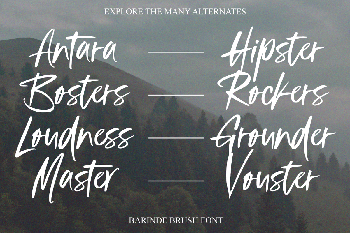 Barinde - Brush Logotype, a Script Font by tebaltipislab (Photo 3 of 7)