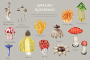 Mushrooms Watercolor Clipart, a Food Illustration by AnitaPol (Thumbnail 14 of 24)