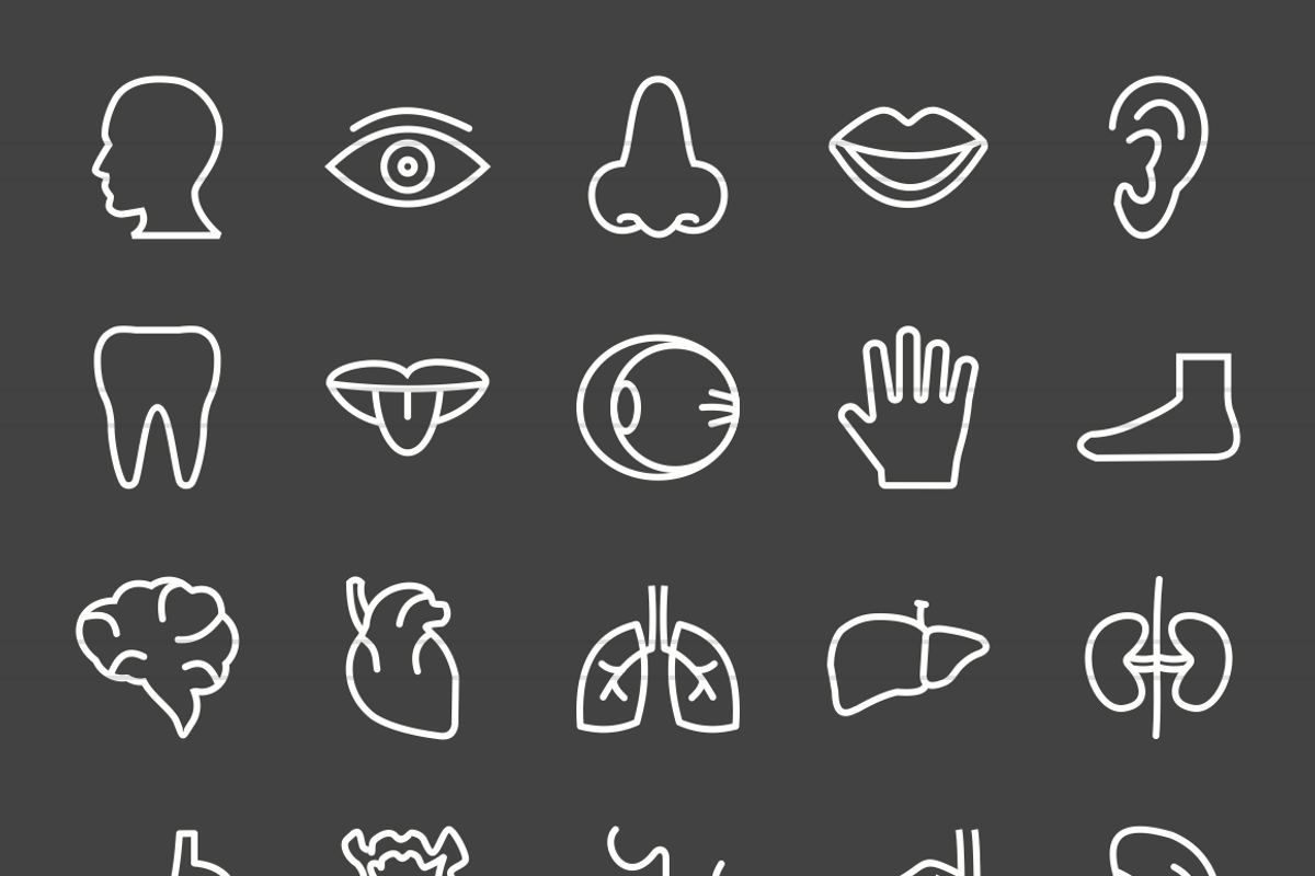 50 Human Anatomy Line Inverted Icons, an Outline Icon by IconBunny