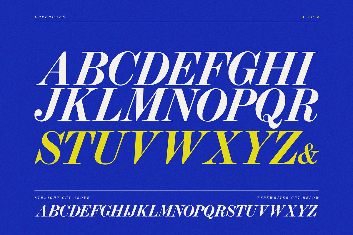 Vintage Press Font Duo, a Serif Font by Lilithcollageart (Photo 14 of 16)