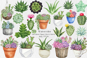 Watercolor Succulent Clipart, an Illustration by Creative Art