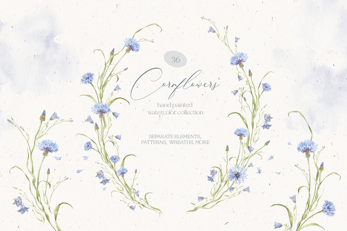 Watercolor Cornflowers, an Illustration by Nastya.Chay (Photo 1 of 10)