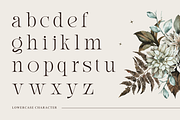Eqicb - Branding Logo Font, a Serif Font by Nirmana Visual (Thumbnail 5 of 10)