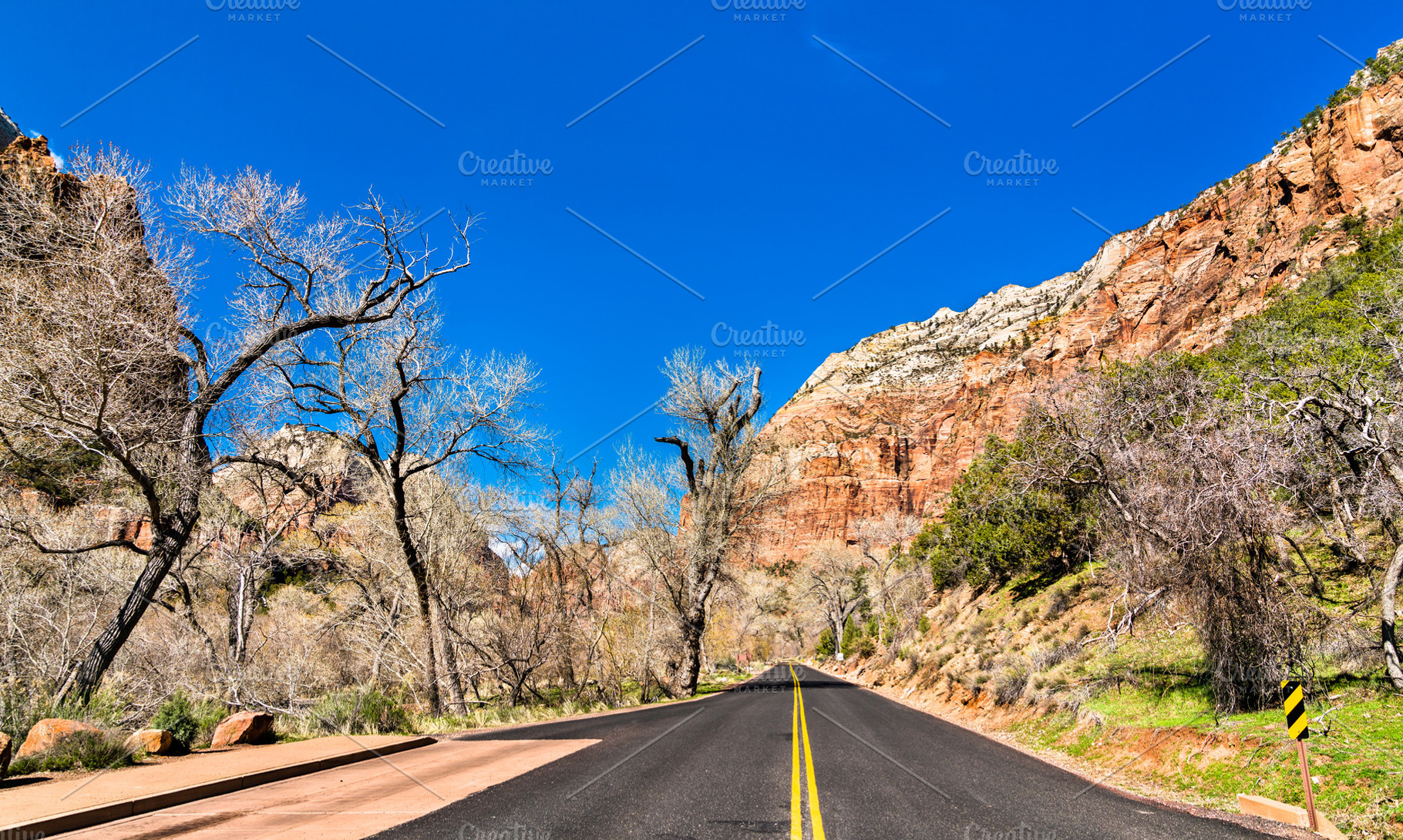 Zion Canyon Scenic Drive in Zion Nat, a Nature Photo by Leonid Andronov