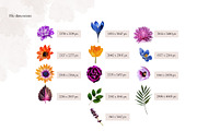 Isolated real flowers clipart set, an Object Graphic by The Graphic Parade (Thumbnail 7 of 14)