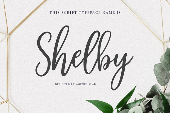 Shelby Script preview 8